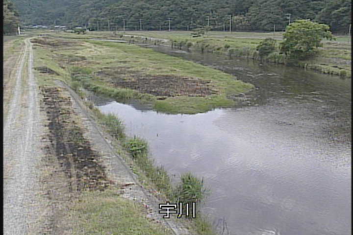 �J�����摜