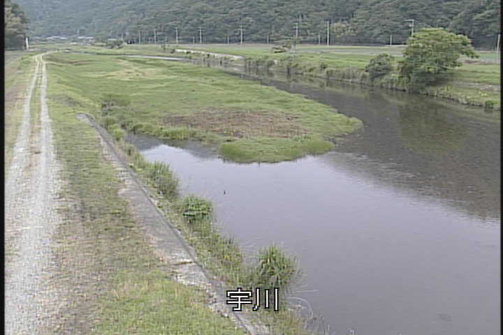 �J�����摜