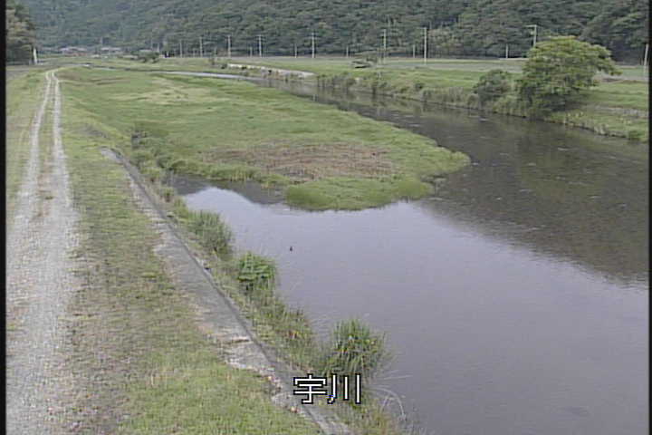 �J�����摜