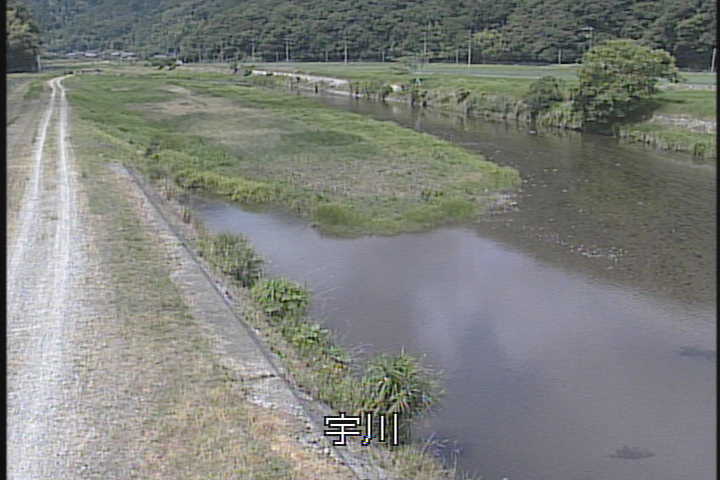 �J�����摜