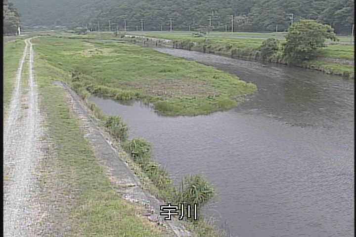 �J�����摜