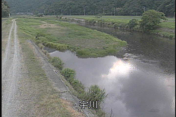 �J�����摜