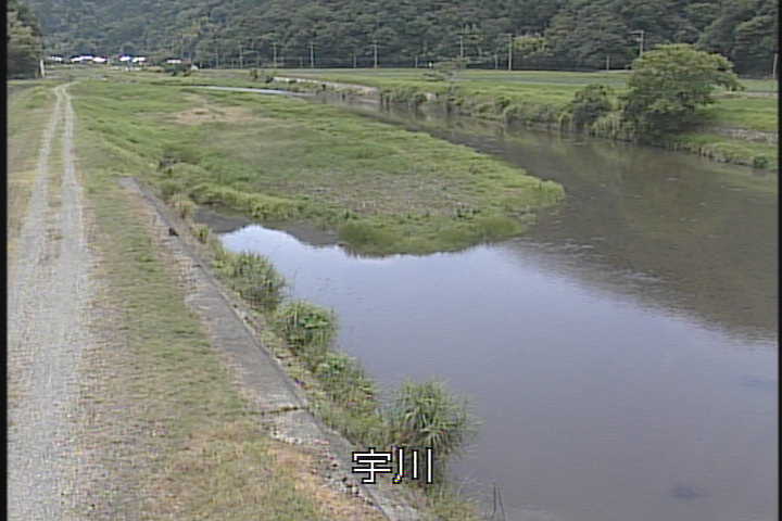 �J�����摜