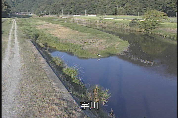 �J�����摜