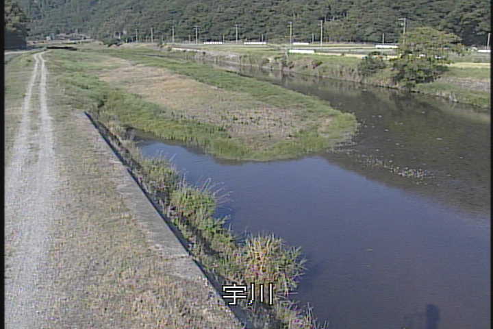�J�����摜