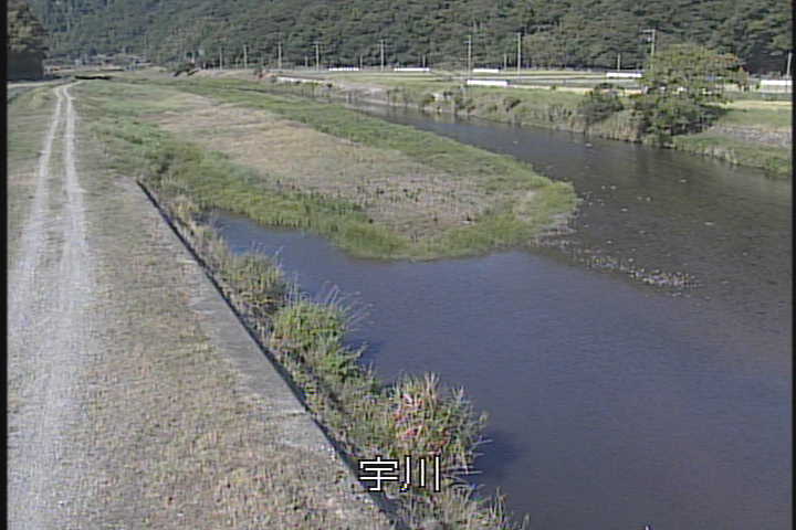 �J�����摜