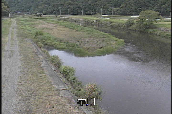 �J�����摜