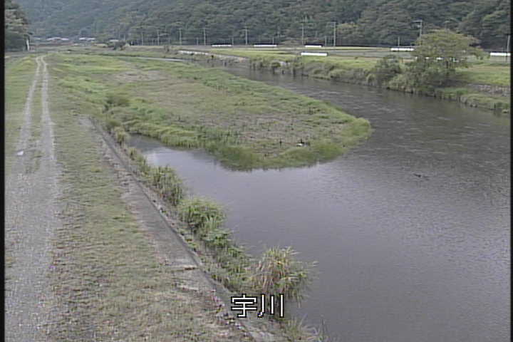 �J�����摜