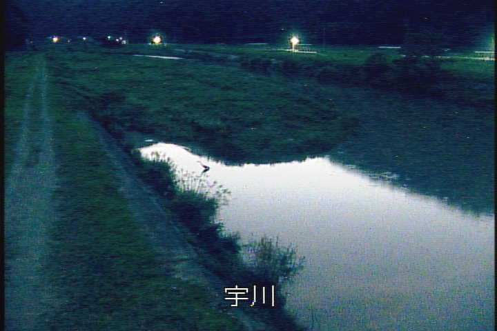 �J�����摜